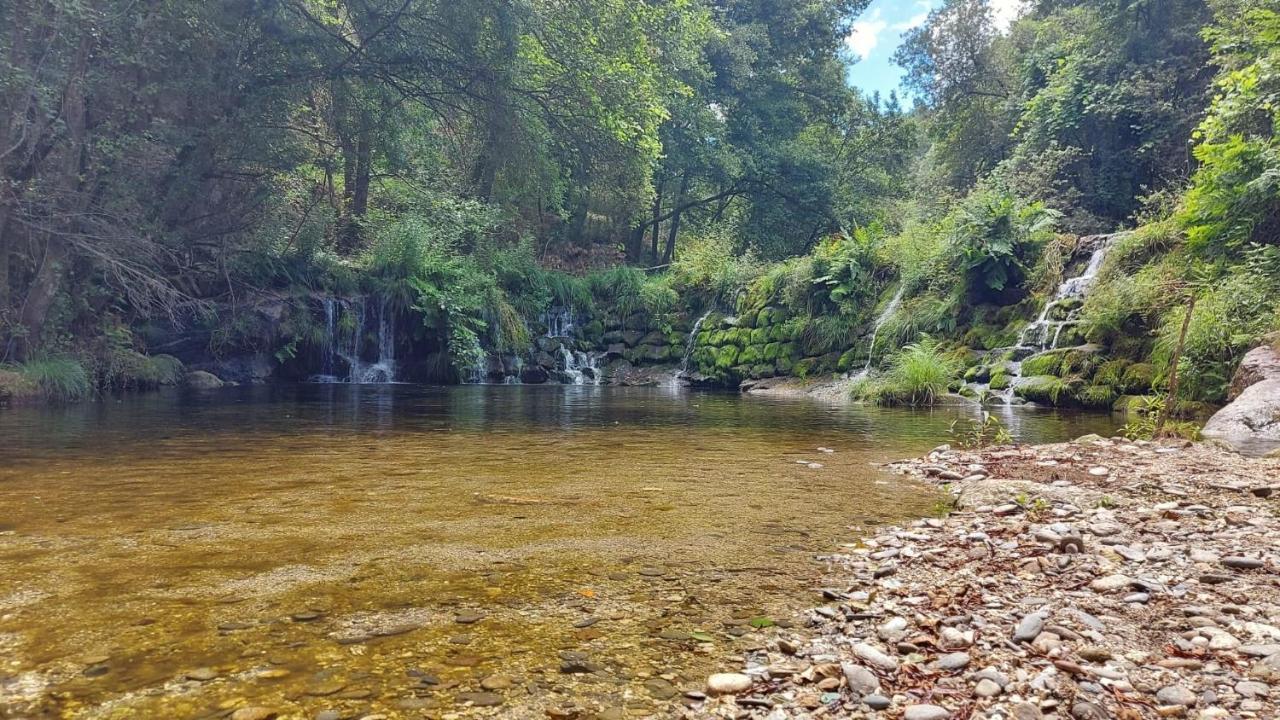 Sitio Dos Cogumelos Alojamentos Amarante Kültér fotó